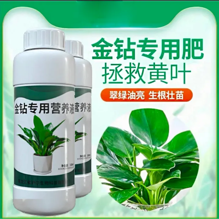【到手2瓶】金钻专用营养液南北施肥通用黄叶卷边绿植通用免稀释肥