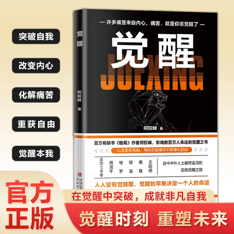 觉醒：写给在困境中不断挣扎的你 突破自我改变内心