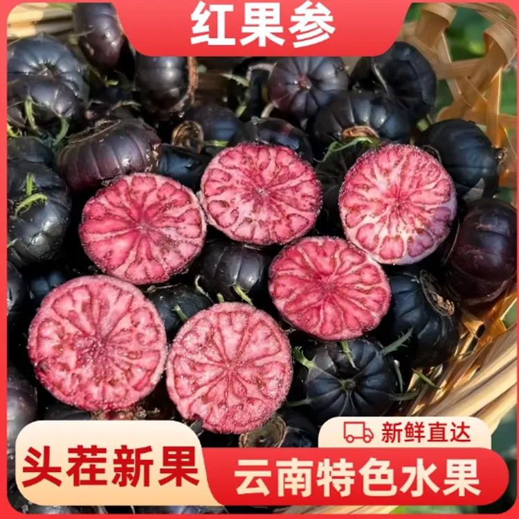 【顺丰包邮】云南红果参算盘果蜘蛛果应当季新鲜孕妇稀有水果红参果
