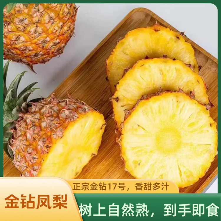 正宗海南金钻凤梨17号树上熟香甜水果多汁新鲜采摘产地直发包售后