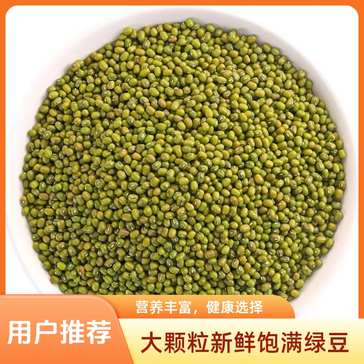大颗粒农家自种可发芽绿豆颗粒饱满适合熬制绿豆汤