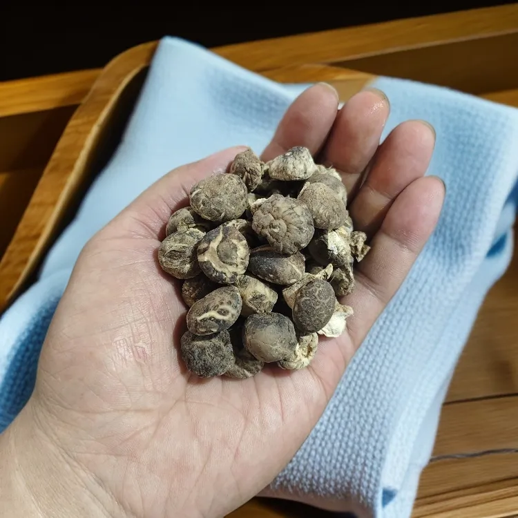 正宗随州香菇净重500g珍珠小香菇炒炖皆可老少皆宜