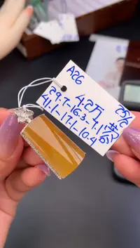 【闪购商品】翡翠颈饰未镶嵌挂件