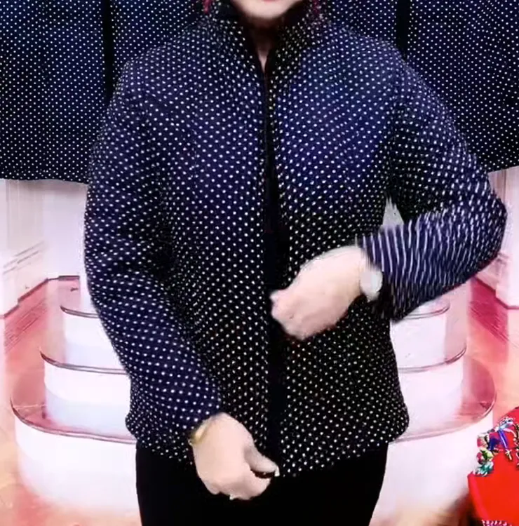 立领拉链中老年妈妈秋冬宽松棉衣外套