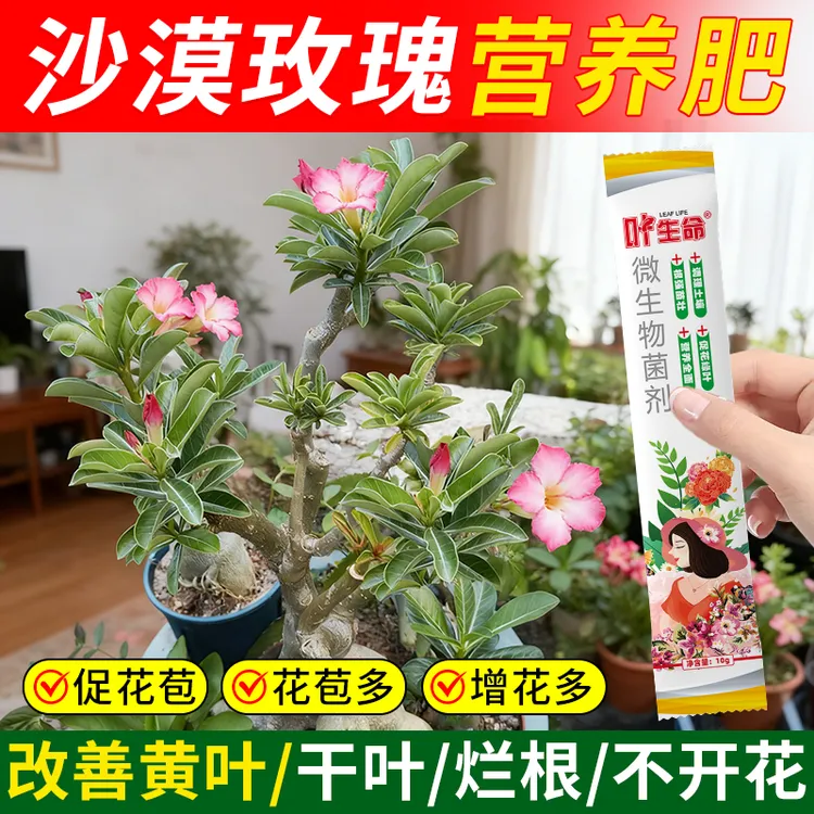 【热销中】沙漠玫瑰养护肥花卉绿植专用解决黄叶掉叶枯枝问题促开花