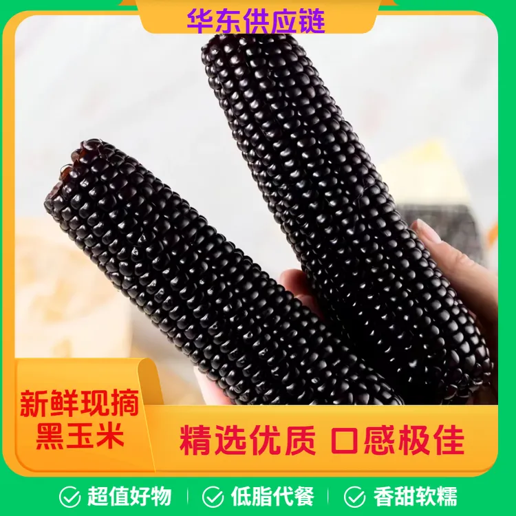【2025新玉米】当季头茬真空锁鲜黑玉米软糯香甜粗粮代餐到手10支