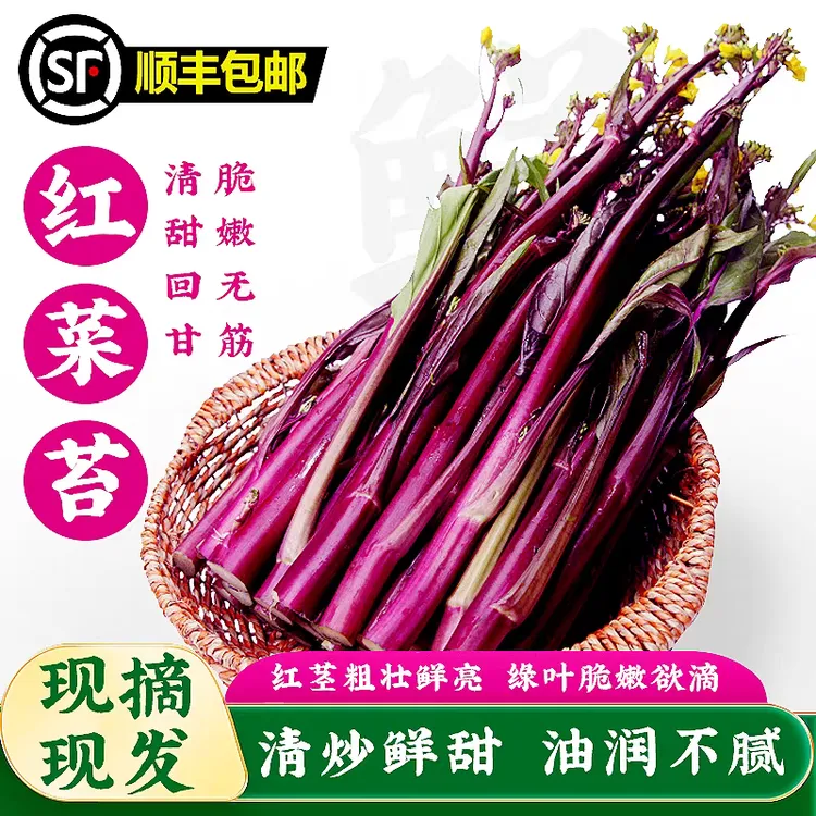 顺丰【火锅蔬菜】正宗湖北新鲜红菜苔粗壮紫菜苔蔬菜当季新鲜蔬菜