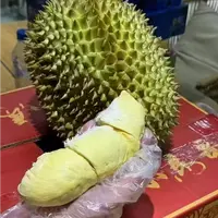 小马哥树熟金枕榴莲/皮薄肉厚