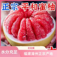 正宗福建平和琯溪蜜柚红心蜜柚红心柚子当季水果福建核心产区发货