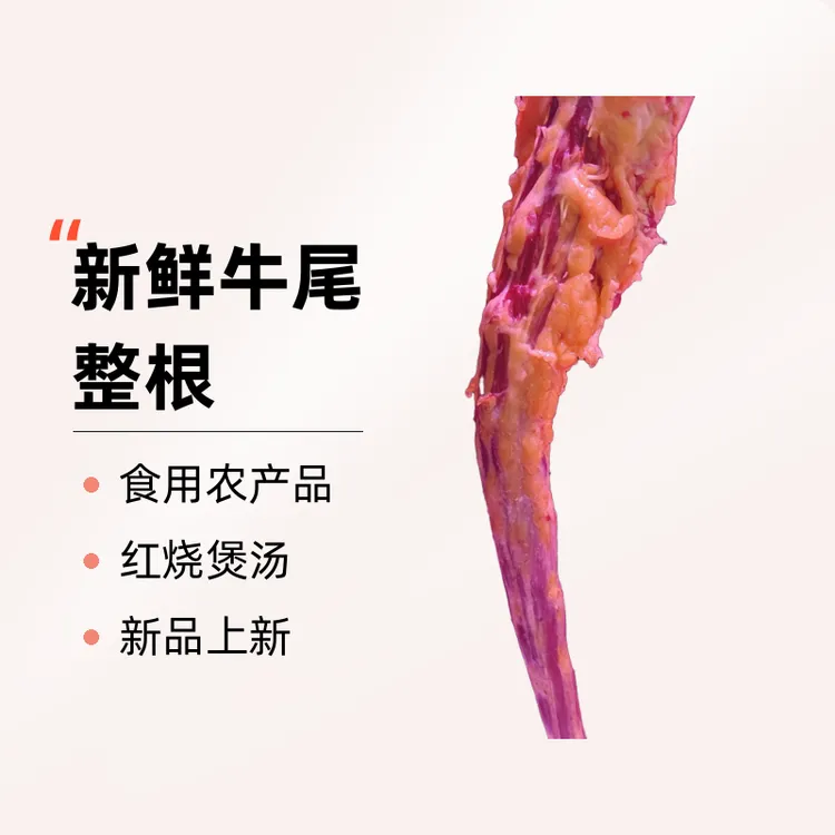 新鲜牛尾整根可红烧煲汤顺丰急冻发货