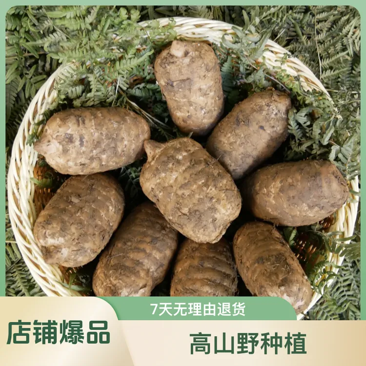 新鲜乌天麻赫章产地现挖可煲汤泡酒滋补食用