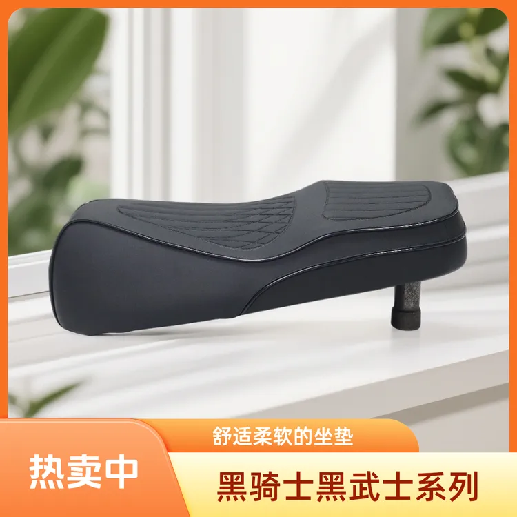 黑骑士黑武士系列坐垫总成B2B3B5B2PIUSB3PIUS外卖车记忆海绵柔软