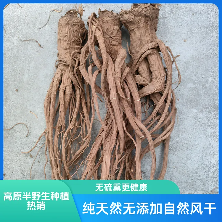 半野生无硫熏当归