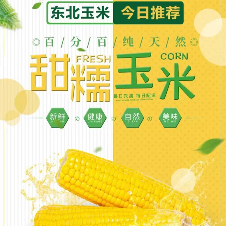 【小亮助农】高端铝箔正宗东北黄糯玉米240g/根*8根+送2根