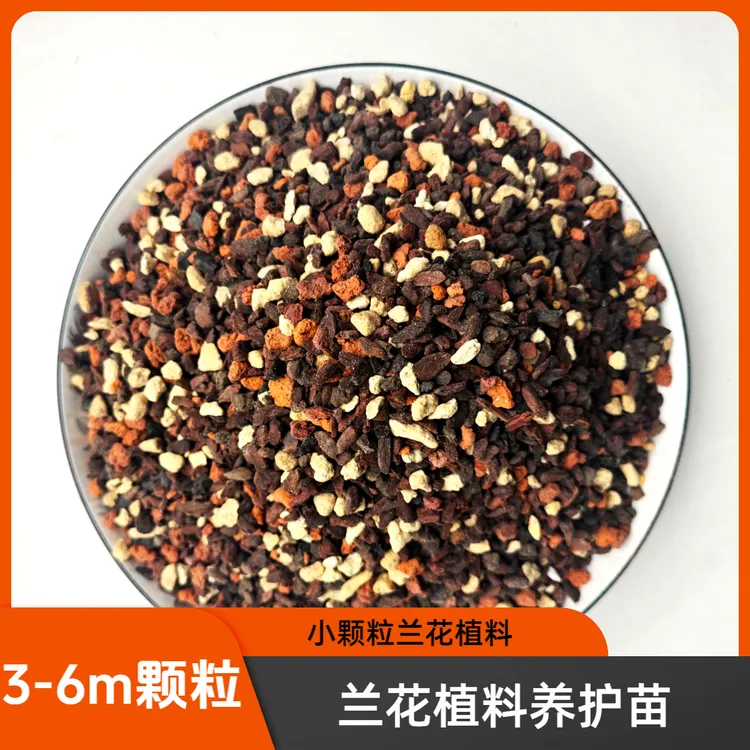 兰花3-6m小颗粒植料蝴蝶兰贴根小苗老苗弱苗复壮护茎保湿透气