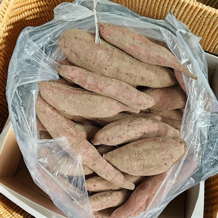 陕西板栗红薯香糯软甜