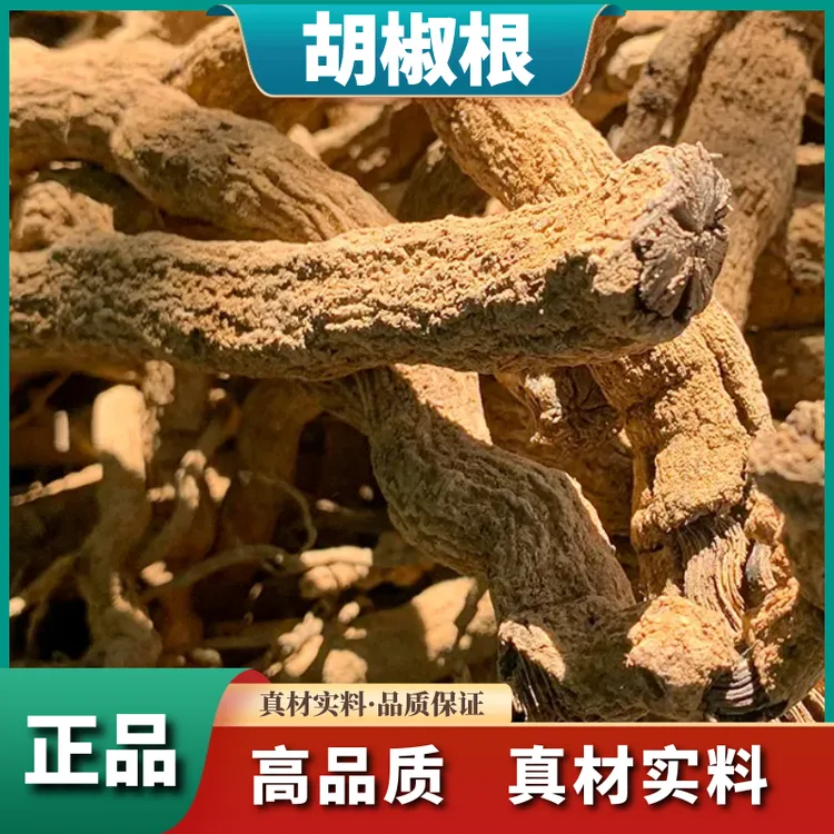正品胡椒根整根新鲜干货散装白胡椒根部精选250g-500g包邮叶菜