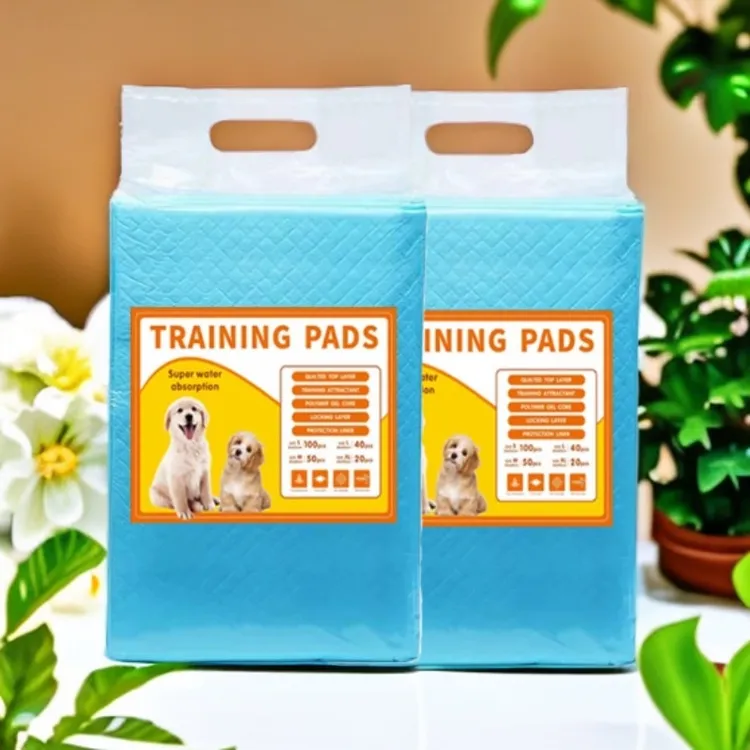 新款宠物尿垫狗狗尿片猫咪训导垫加厚吸水尿不湿一次性吸水垫跨境