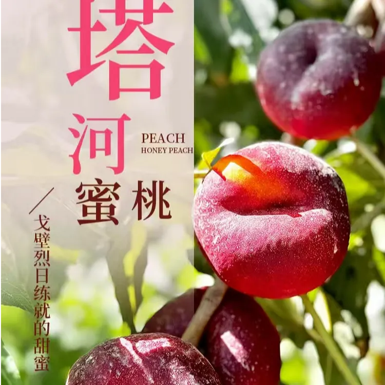 顺丰冷链空运新疆阿克苏塔河蜜油蟠桃原产地直发现摘现发一桃两吃