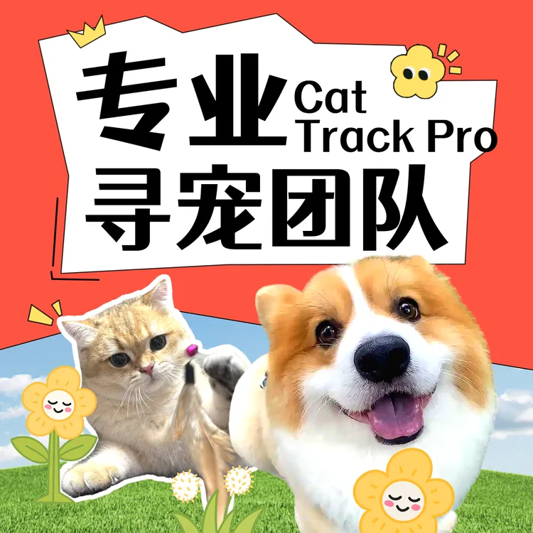 宠物寻找找猫服务找狗服务寻猫团队宠物侦探寻找宠物搜救