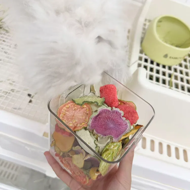 兔兔荷兰猪龙猫零食｜果蔬沙拉罐｜70g