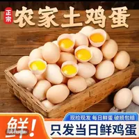 【兵哥】50枚土鸡蛋 新鲜现捡现发 破损包赔