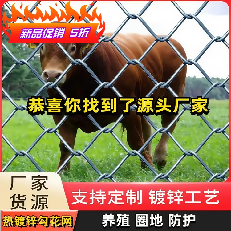 热镀锌防锈铁丝网钢丝网 户外围护栏网 家用养殖牛羊拦鸡网勾花网