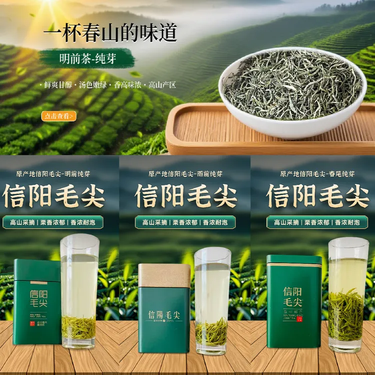 【嫩芽系列】2025春茶信阳毛尖绿茶纯芽尖嫩芽高山茶叶