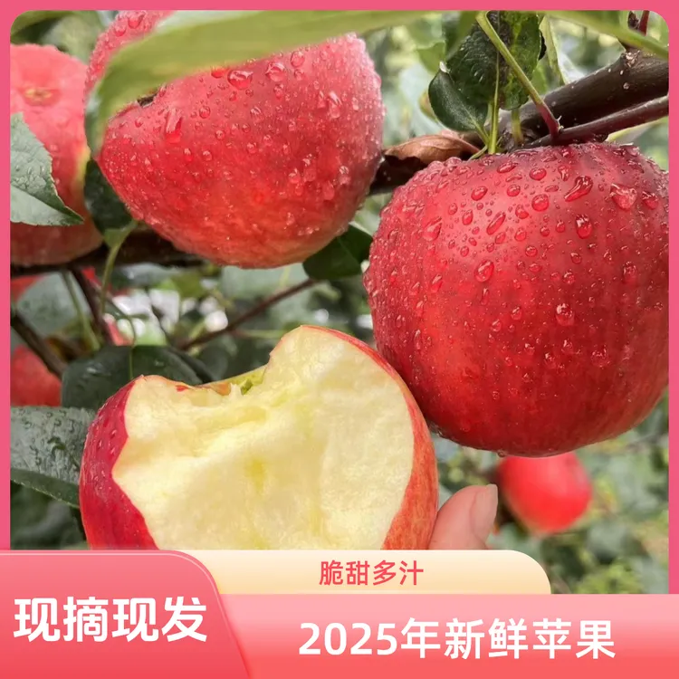 【2025年新鲜苹果】四川大凉山丑苹果2/5斤脆甜现摘现发水果孕妇