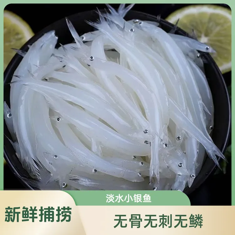苏州新鲜小银鱼淡水银鱼湖鲜细嫩无刺无鳞高营养生鲜适合宝宝孕妇