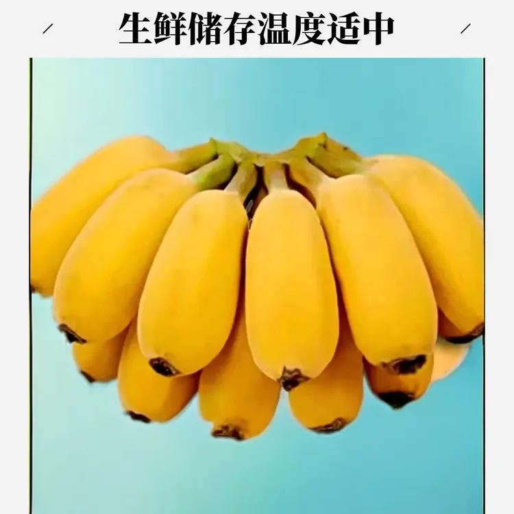 道苹果蕉现广东本地果清甜软糯青粉蕉当季新鲜水果适合产妇孕妇食