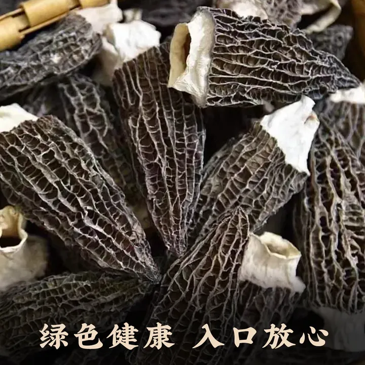 【精品头茬】7-10cm高山羊肚菌干货特大肥厚营养丰富煲汤佳品未剪脚