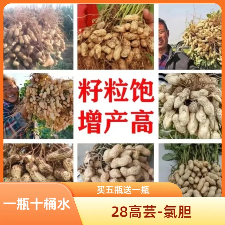 【28高 氯胆】花生红薯大蒜洋葱大姜地下膨果水溶肥料