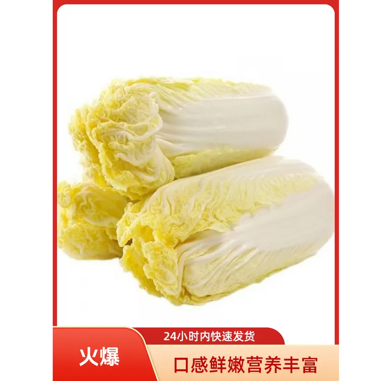 云南高山新鲜时令黄心娃娃菜，当季新鲜，新鲜娃娃菜，农家菜