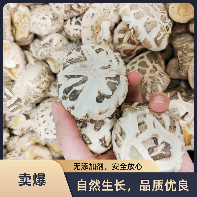 仿野生椴木香菇小花菇大花菇农家肉厚干香菇菌菇白花菇产地直发