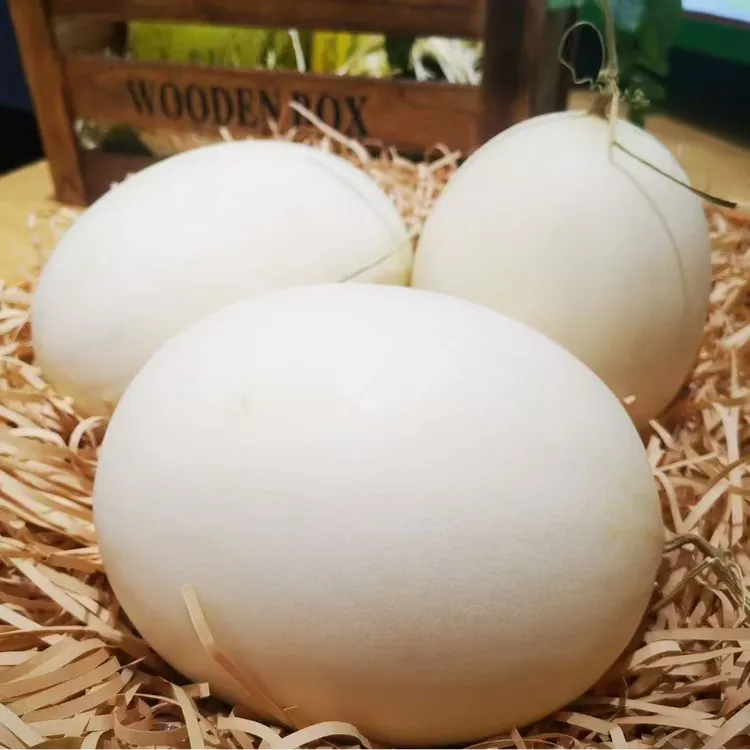 正宗网纹瓜哈密瓜雪梨新鲜水果当季整箱包邮脆香瓜皮薄哈密瓜