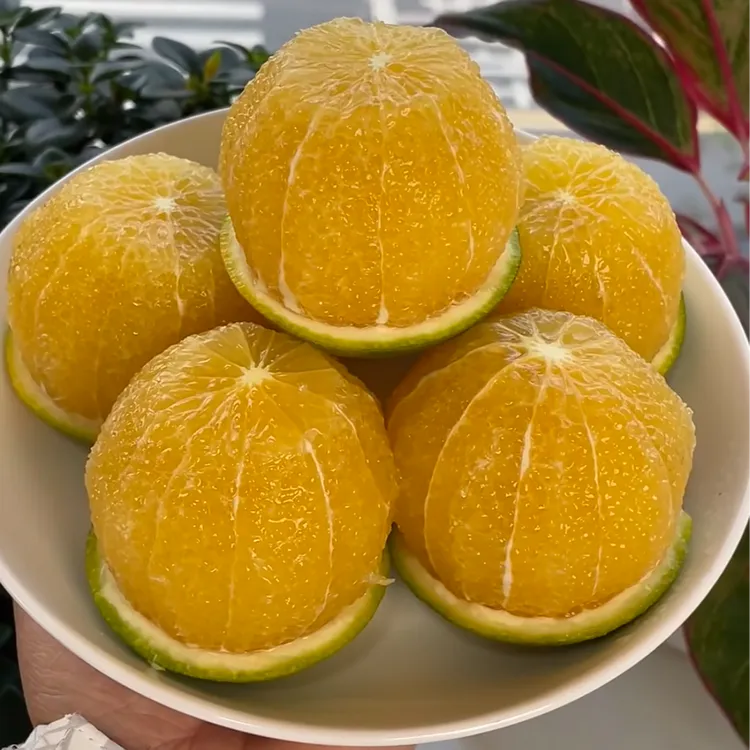 【富硒佳品】麻阳冰糖橙之乡 锦蜜新鲜当季现摘现发清甜多汁