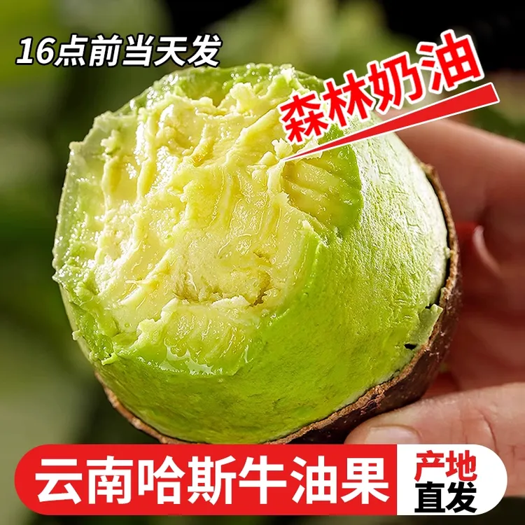 正宗云南哈斯牛油果即食一级鳄梨当季新鲜现摘水果孟连国产