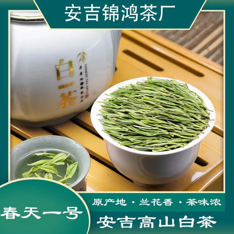 春天一号A92 溪龙安吉高山白茶明前茶送礼茶礼兰花香安吉浓香白茶