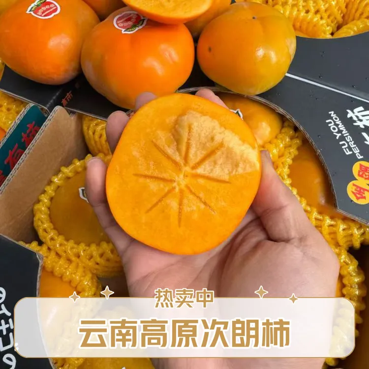 [云南次朗柿]云南保山高原种植次郎柿不涩口巧克力脆柿冰糖心脆柿