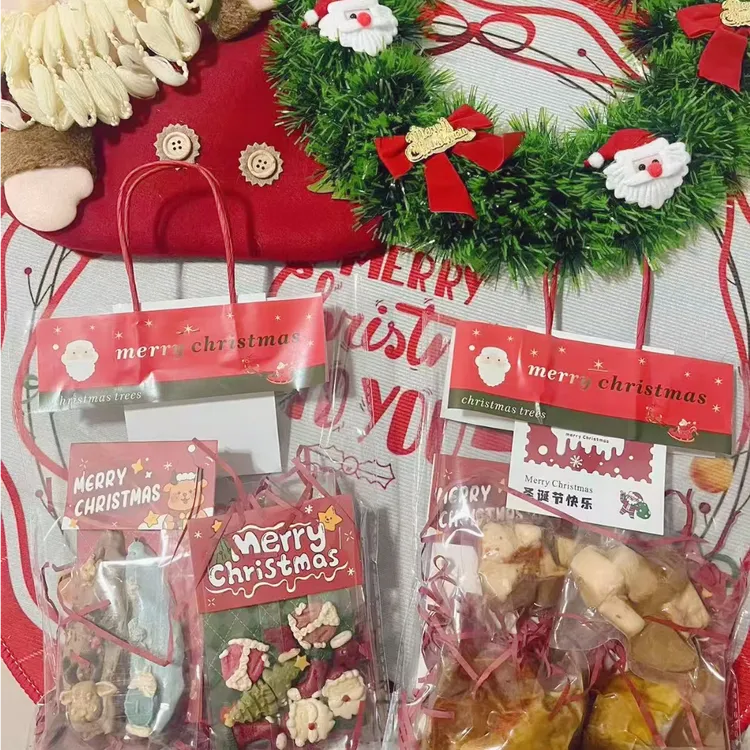 宠物的节日圣诞礼袋