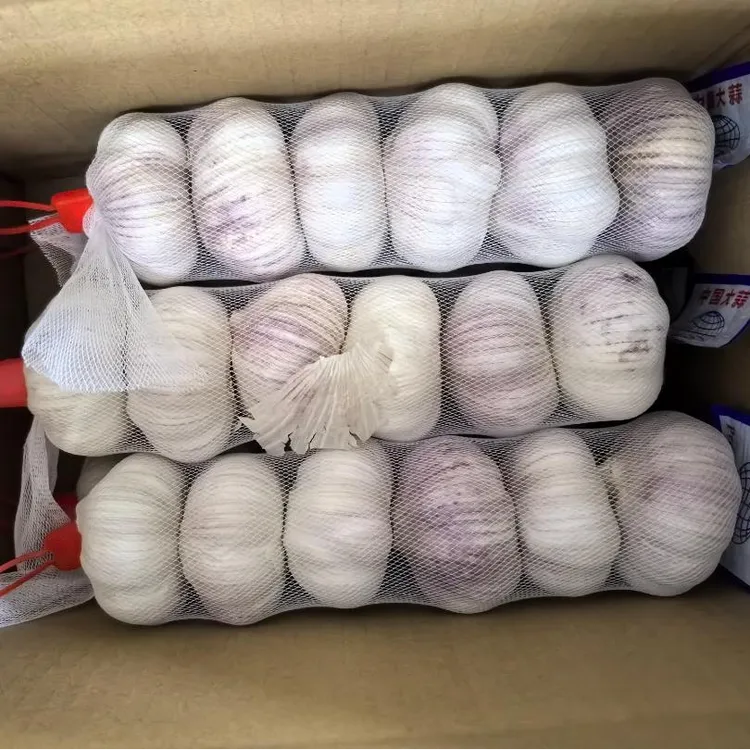 9斤装-精品大蒜--大蒜之乡产地直发