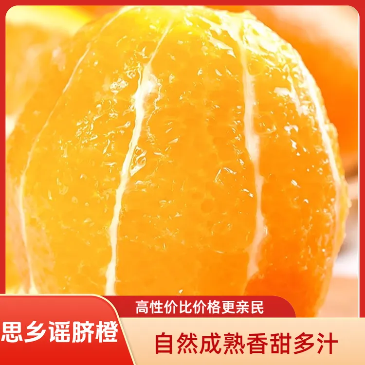 精选秭归脐橙现摘现发当季榨汁甜橙5-10斤