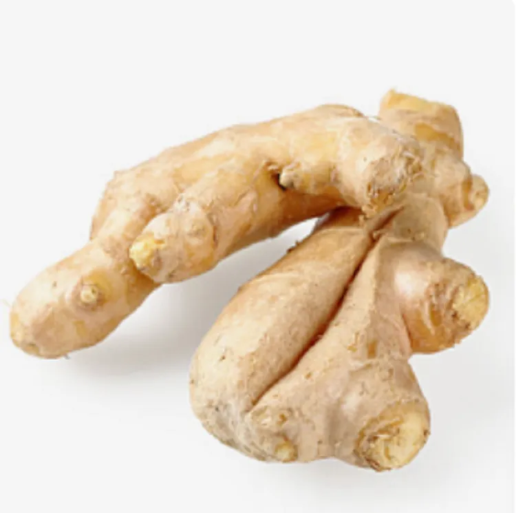 正宗山东大姜种植基地新鲜现挖直发