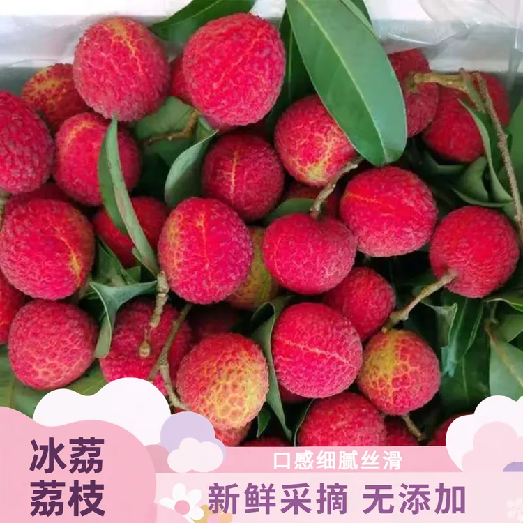 【顺丰空运】现摘【冰荔】荔枝口感细腻丝滑新鲜采摘发货无添加鲜荔枝