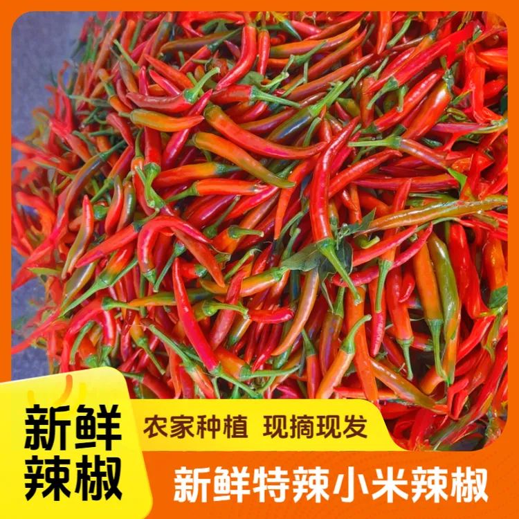特辣新鲜小米椒批发农家小米辣椒朝天椒红辣椒可做剁椒泡椒辣椒酱