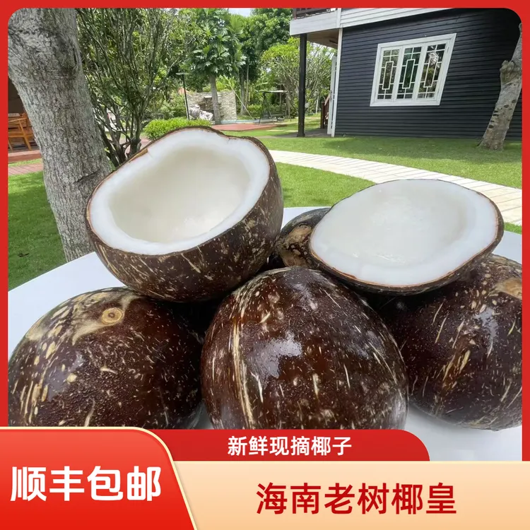 【顺丰冷链直发】海南老树椰皇牛奶椰皇椰青新鲜椰子老椰子孕妇水果