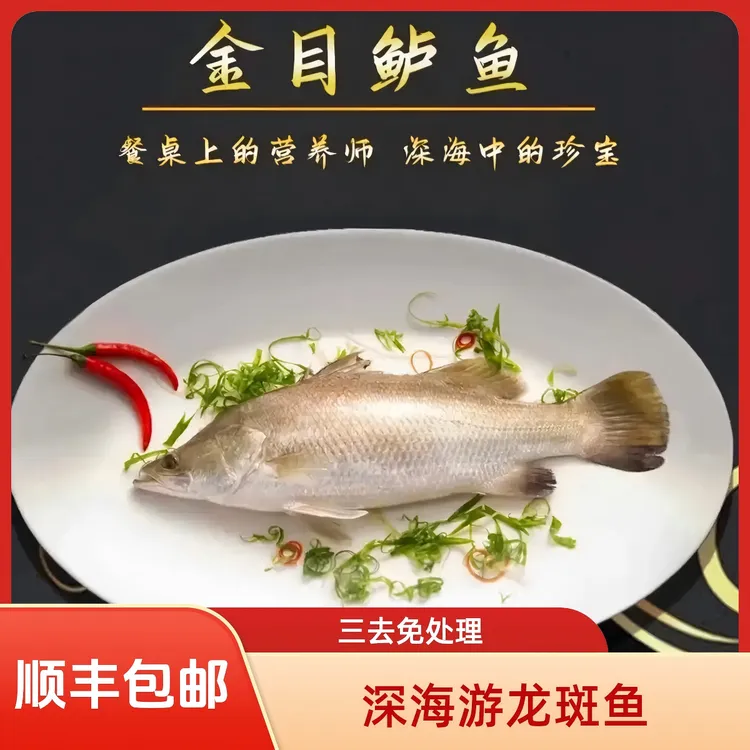 深海游龙斑鱼 /净重450~500g/条（4条）顺丰冷链 /去鳞去鳃去内脏