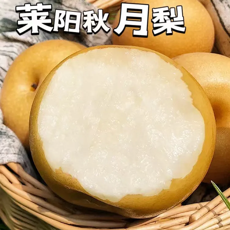 全网爆款莱阳秋月梨礼盒装冰糖梨当季新鲜水果脆甜多汁甜送礼精选
