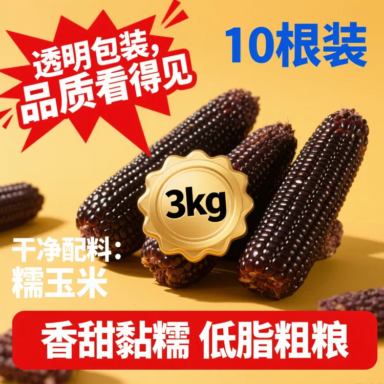 正宗黑当季非转基因东北糯玉米10根装粘正宗粘糯粘东北黑糯玉米糯